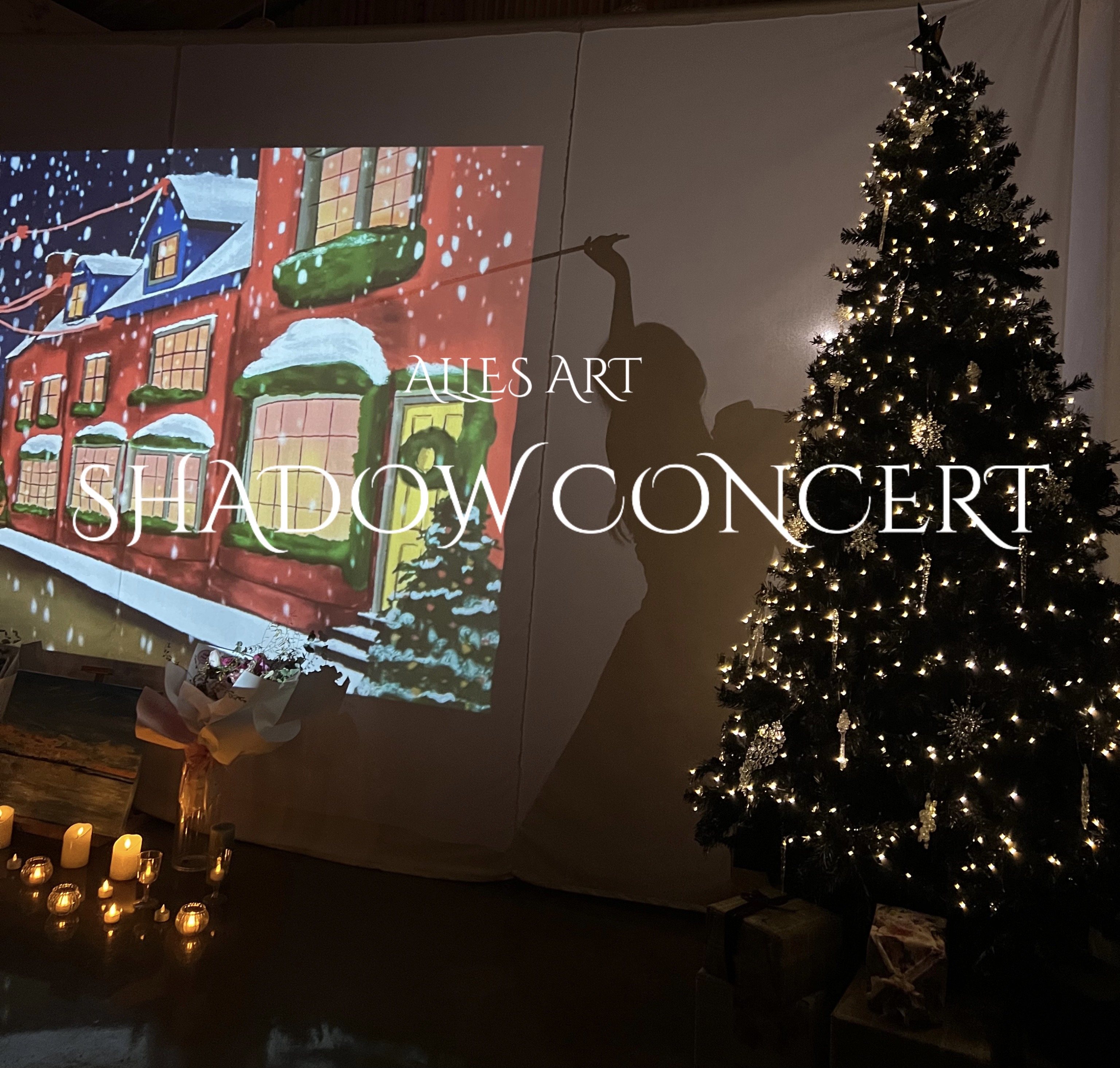 미디어아트 기반 섀도우 콘서트고도화 및 연계체험 콘텐츠 분리운영