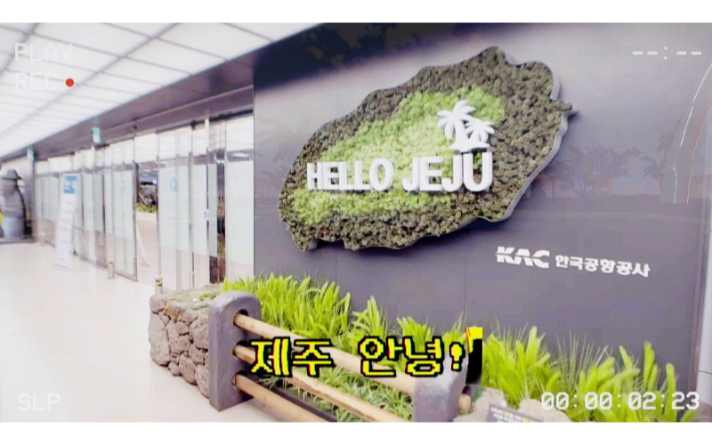 제주 생계형 정착 브이로그